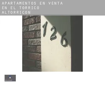 Apartamentos en venta en  el Torricó / Altorricon