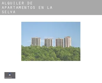 Alquiler de apartamentos en  La Selva