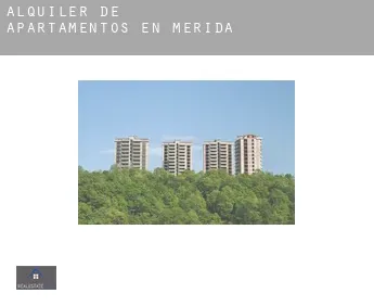 Alquiler de apartamentos en  Mérida