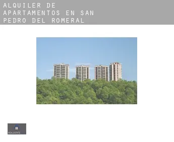 Alquiler de apartamentos en  San Pedro del Romeral