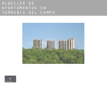 Alquiler de apartamentos en  Torrubia del Campo