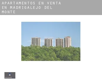 Apartamentos en venta en  Madrigalejo del Monte