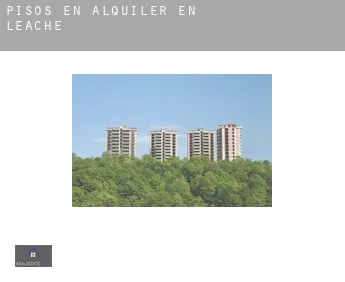 Pisos en alquiler en  Leache