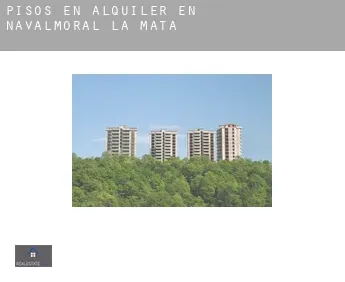 Pisos en alquiler en  Navalmoral de la Mata