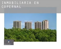 Inmobiliaria en Copernal