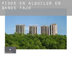 Pisos en alquiler en Baños de Tajo