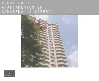 Alquiler de apartamentos en  Camarena de la Sierra