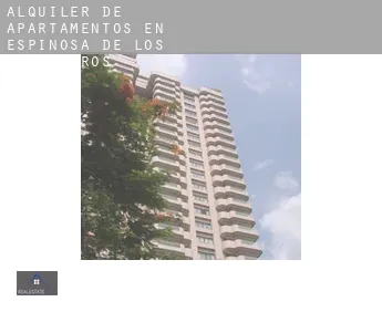 Alquiler de apartamentos en  Espinosa de los Caballeros