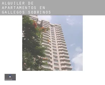 Alquiler de apartamentos en  Gallegos de Sobrinos