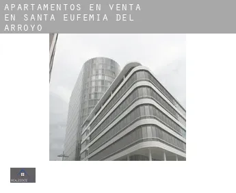 Apartamentos en venta en  Santa Eufemia del Arroyo