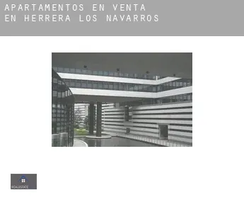 Apartamentos en venta en  Herrera de los Navarros