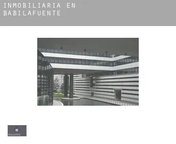 Inmobiliaria en  Babilafuente