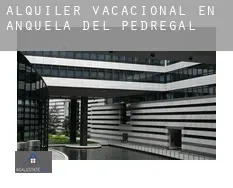 Alquiler vacacional en Anquela del Pedregal