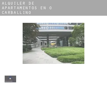 Alquiler de apartamentos en  O Carballiño