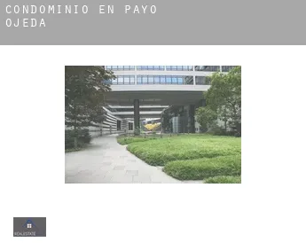 Condominio en  Payo de Ojeda