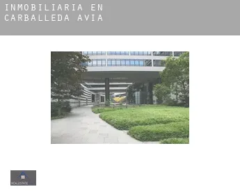 Inmobiliaria en  Carballeda de Avia