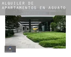 Alquiler de apartamentos en  Aguatón