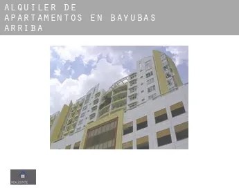 Alquiler de apartamentos en  Bayubas de Arriba