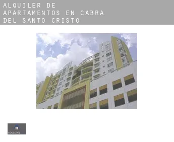 Alquiler de apartamentos en  Cabra del Santo Cristo