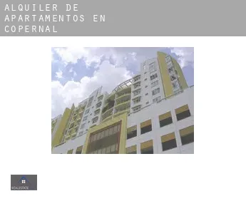 Alquiler de apartamentos en Copernal