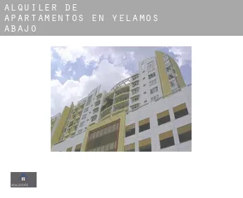 Alquiler de apartamentos en  Yélamos de Abajo