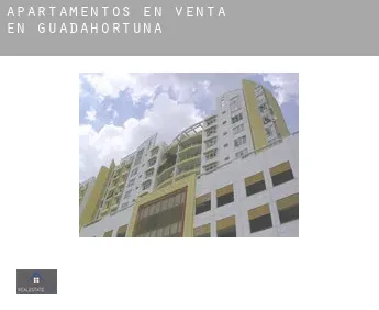 Apartamentos en venta en  Guadahortuna