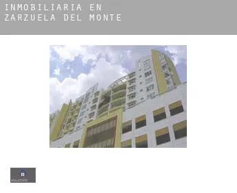 Inmobiliaria en  Zarzuela del Monte