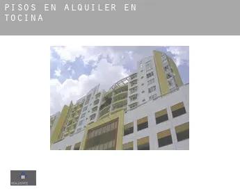 Pisos en alquiler en  Tocina