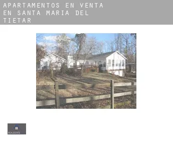 Apartamentos en venta en  Santa María del Tiétar