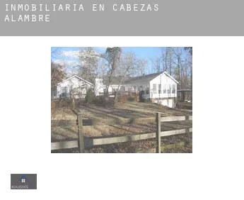 Inmobiliaria en  Cabezas de Alambre
