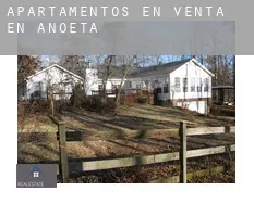 Apartamentos en venta en Anoeta