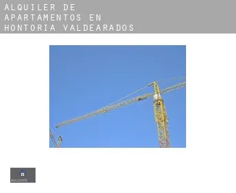 Alquiler de apartamentos en  Hontoria de Valdearados