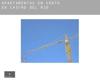 Apartamentos en venta en  Castro del Río