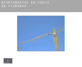 Apartamentos en venta en  Vizmanos