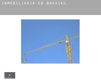 Inmobiliaria en  Bakaiku