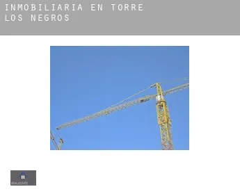 Inmobiliaria en  Torre los Negros