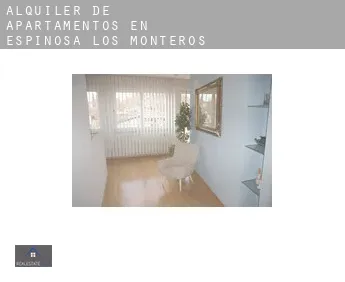 Alquiler de apartamentos en  Espinosa de los Monteros