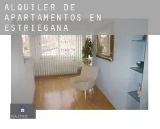 Alquiler de apartamentos en  Estriégana