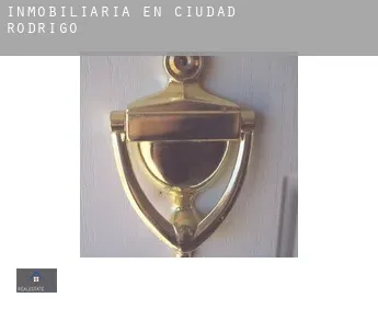 Inmobiliaria en  Ciudad Rodrigo