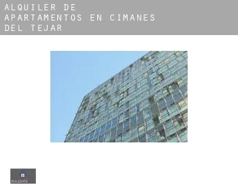 Alquiler de apartamentos en  Cimanes del Tejar