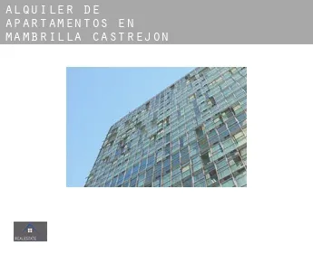 Alquiler de apartamentos en  Mambrilla de Castrejón