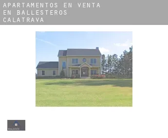 Apartamentos en venta en Ballesteros de Calatrava