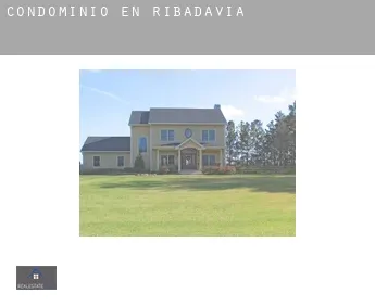 Condominio en  Ribadavia