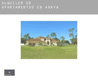 Alquiler de apartamentos en  Araia