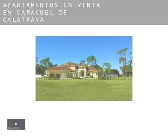 Apartamentos en venta en  Caracuel de Calatrava