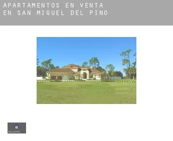 Apartamentos en venta en  San Miguel del Pino