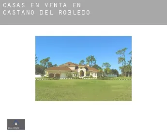 Casas en venta en  Castaño del Robledo