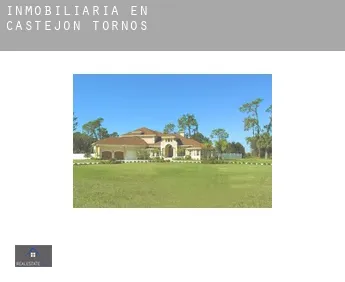 Inmobiliaria en  Castejón de Tornos
