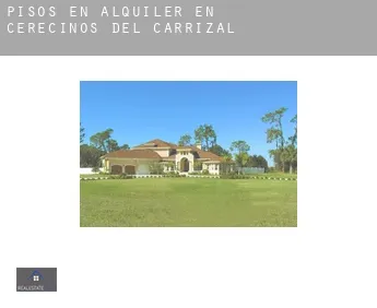 Pisos en alquiler en  Cerecinos del Carrizal