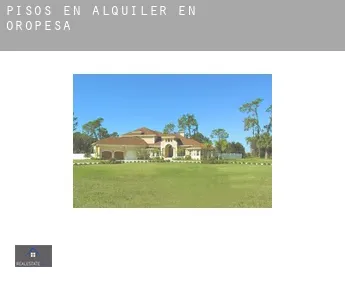 Pisos en alquiler en  Oropesa
